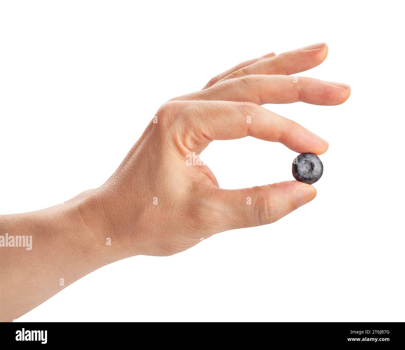 blueberry in hand path isolated on white Stock Photo