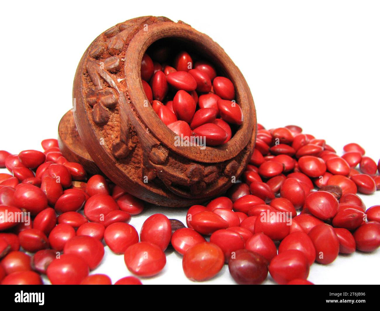 Red bead tree seeds scattered from crimson wooden shell. Stock Photo