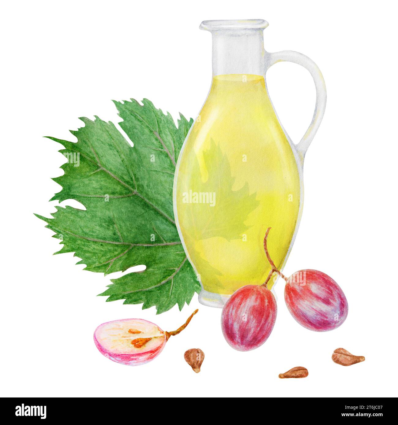 Red grape berry, seeds, glass bottle with oil, vinegar. Watercolor hand