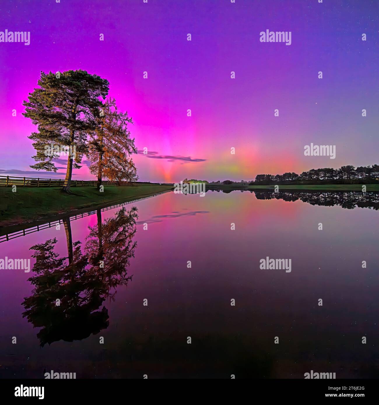 The Northern Lights ( Aurora Borealis ) seen over Whittle Dene