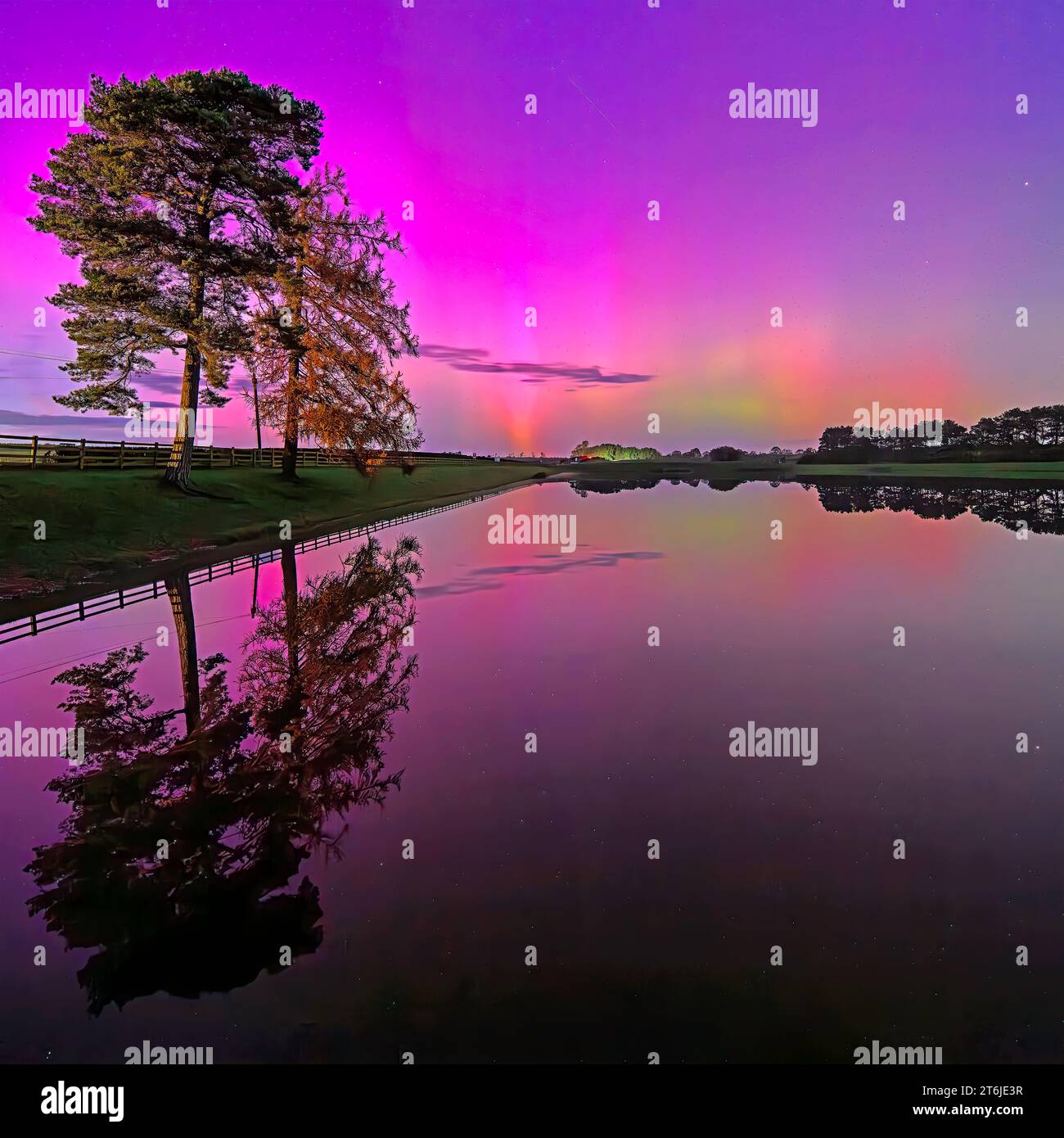 The Northern Lights ( Aurora Borealis ) seen over Whittle Dene