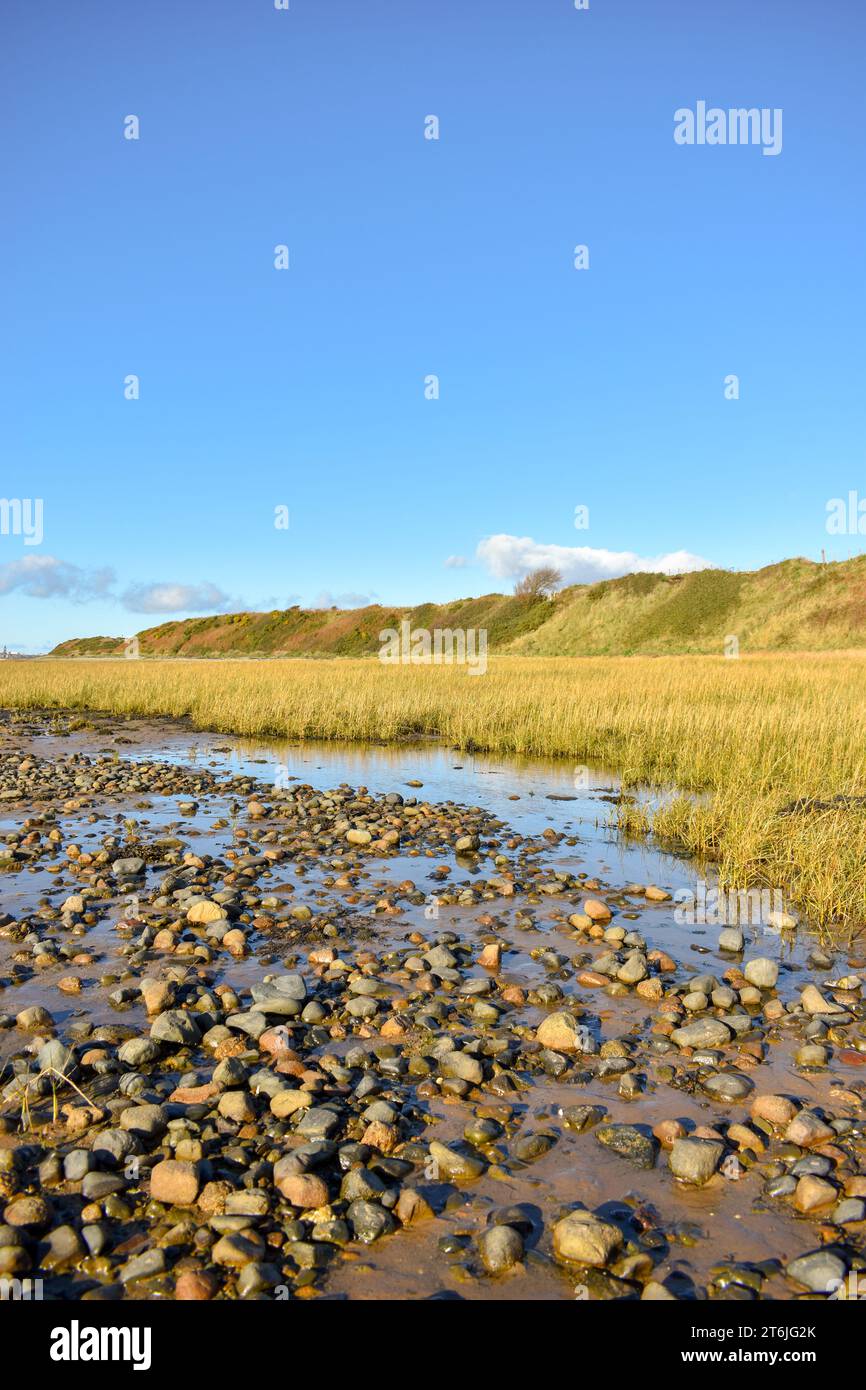 A view of an area of marshland on the coast of Barrow In Furness at low