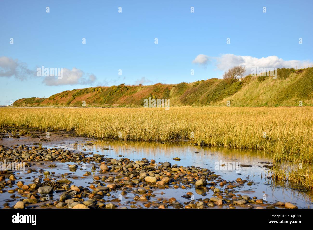 A view of an area of marshland on the coast of Barrow In Furness at low tide on a clear day. Stock Photo