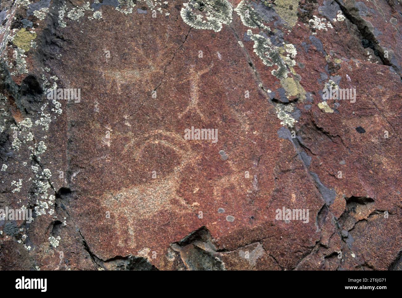 Buffalo Eddy petroglyphs, Nez Perce National Historic Park, Washington