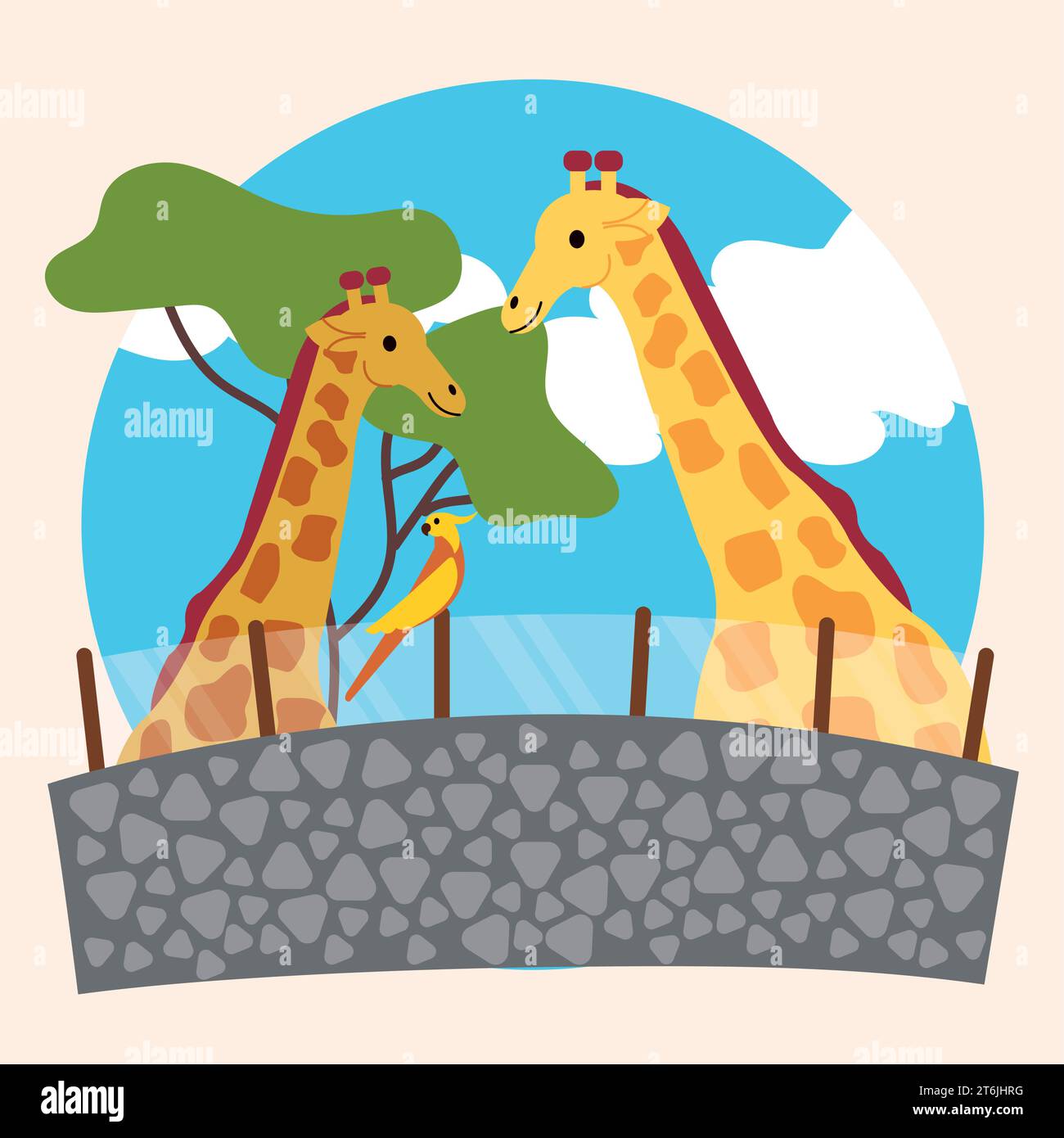 Pair of cute giraffes on a zoo Vector Stock Vector Image & Art - Alamy