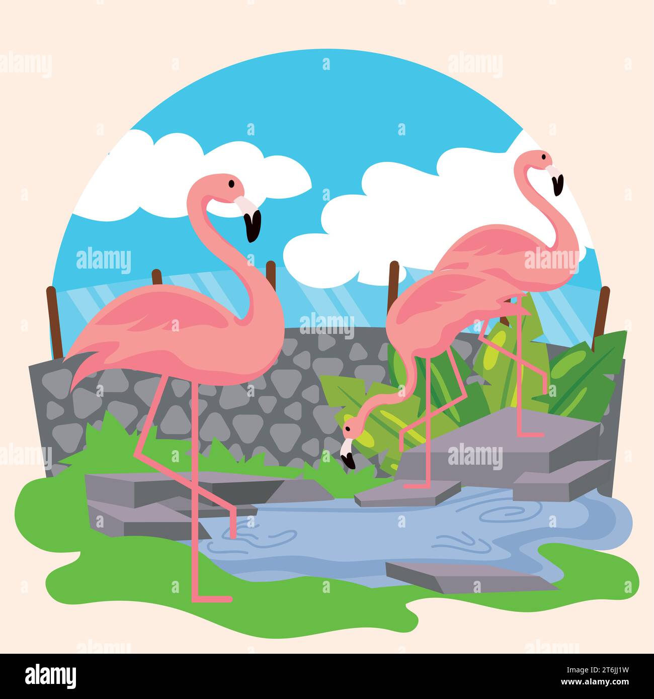Group of cute flamingos on an open zoo Vector Stock Vector Image & Art ...
