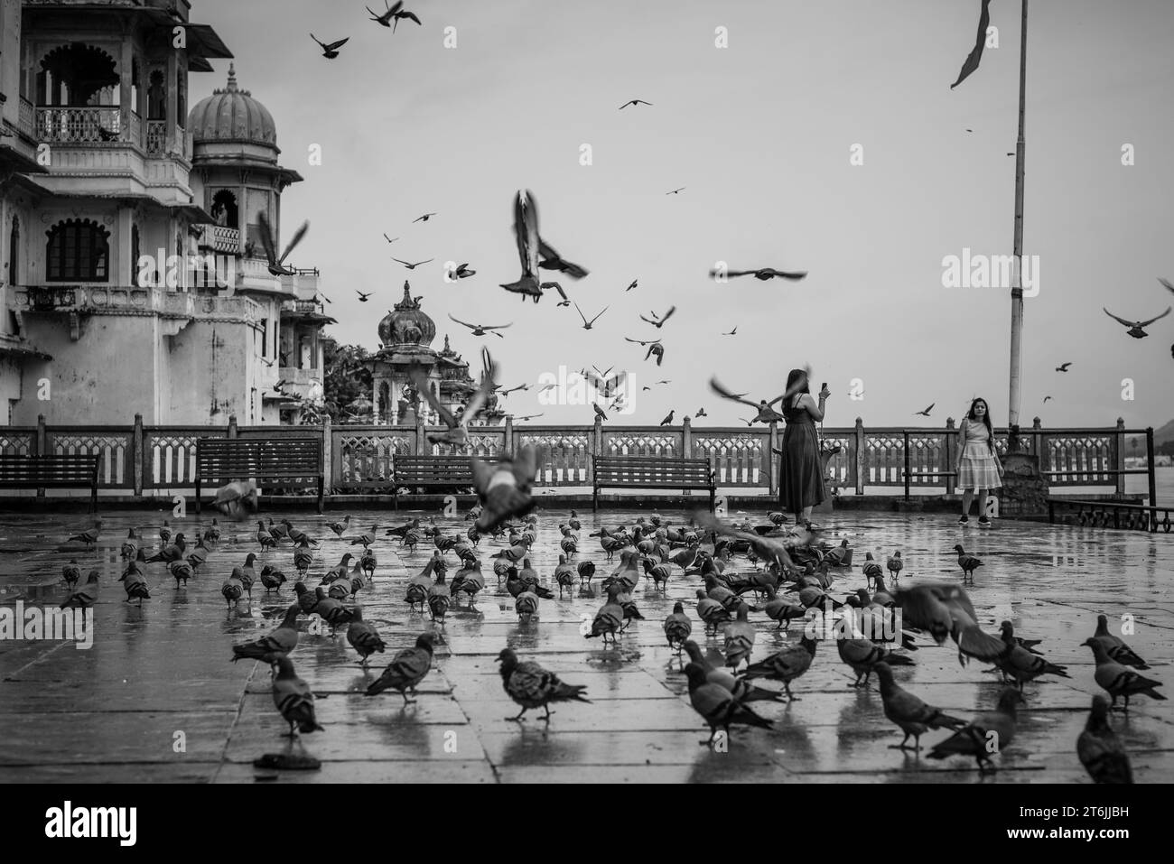 Bagore ki Haveli Rajasthan India,September 17 2023 Tourists visiting and feeding pigeons and clicking pictures around Bagore ki Haveli Udaipur Stock Photo