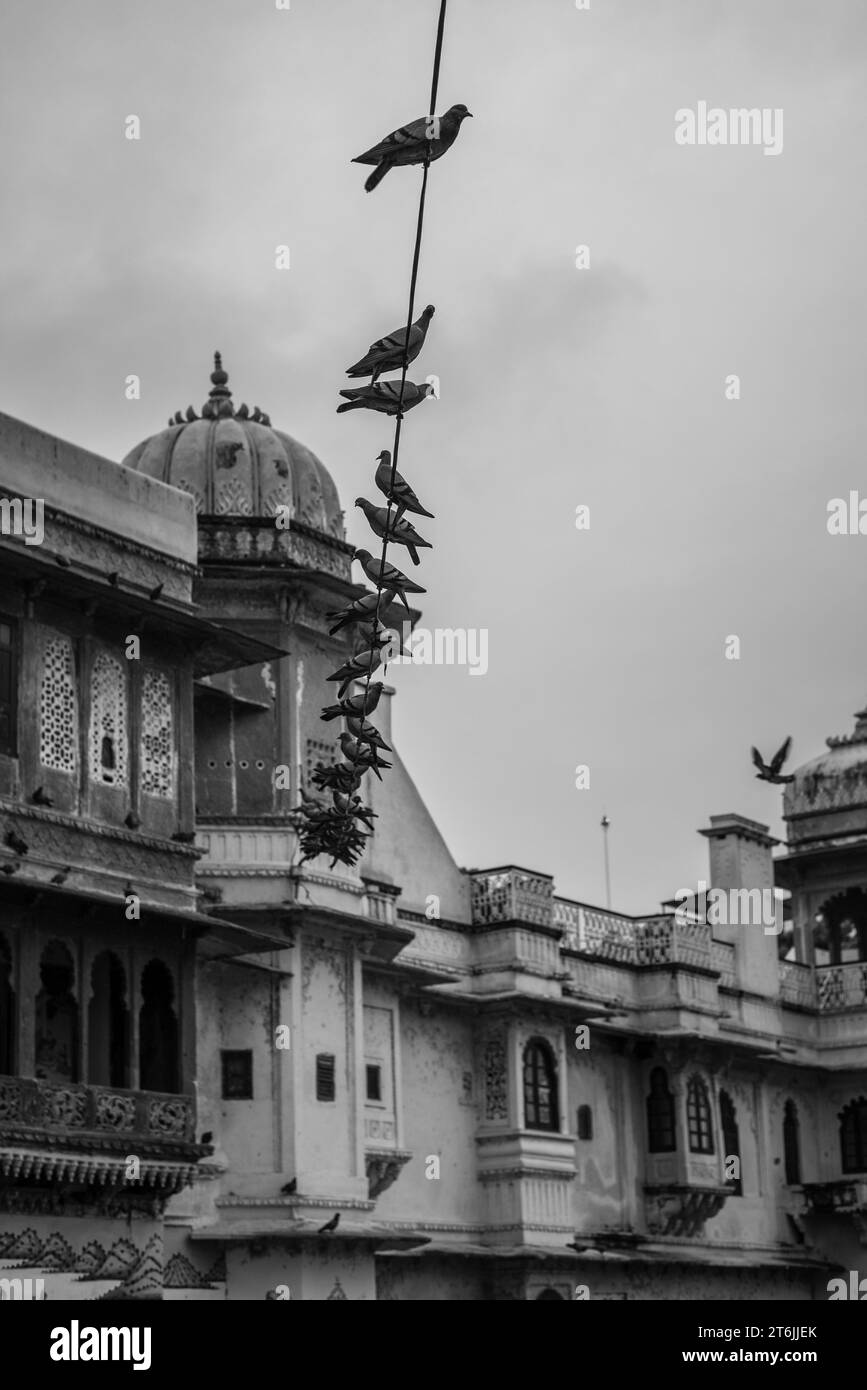 Bagore ki Haveli Rajasthan India,September 17 2023 Tourists visiting and feeding pigeons and clicking pictures around Bagore ki Haveli Udaipur Stock Photo