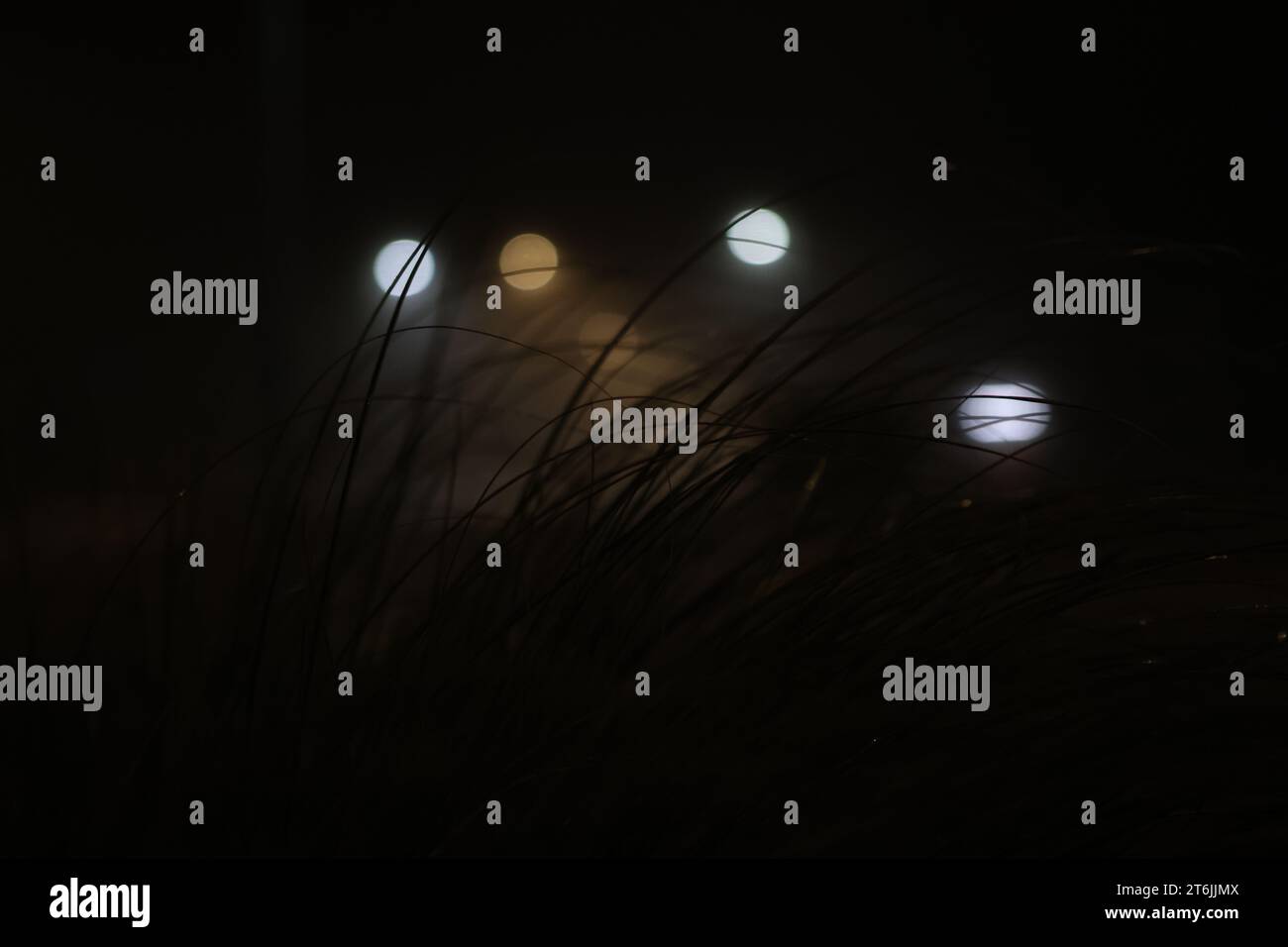 Blur lights on dark background Stock Photo