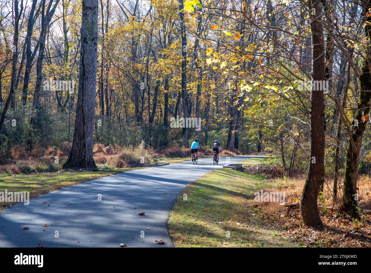 Two bicyclists riding on a paved path through a forest in fall. Stock Photo
