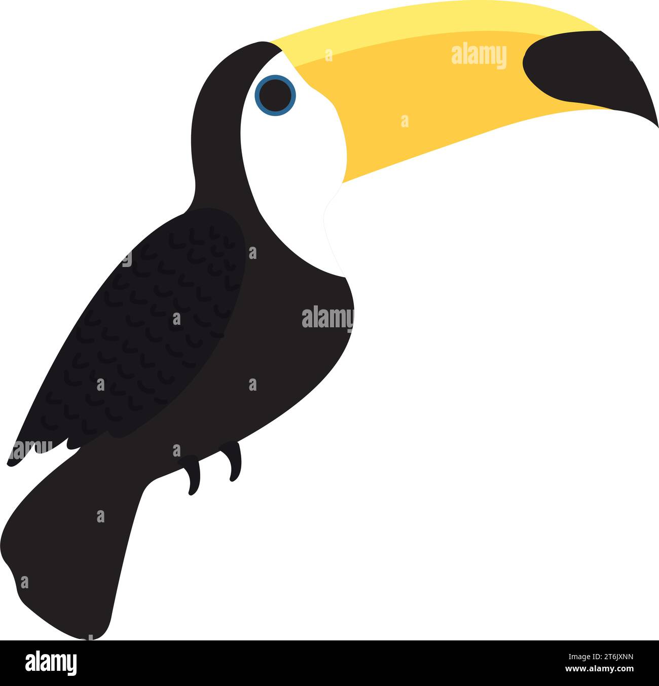 Isolated colored toucan bird Vector Stock Vector Image & Art - Alamy