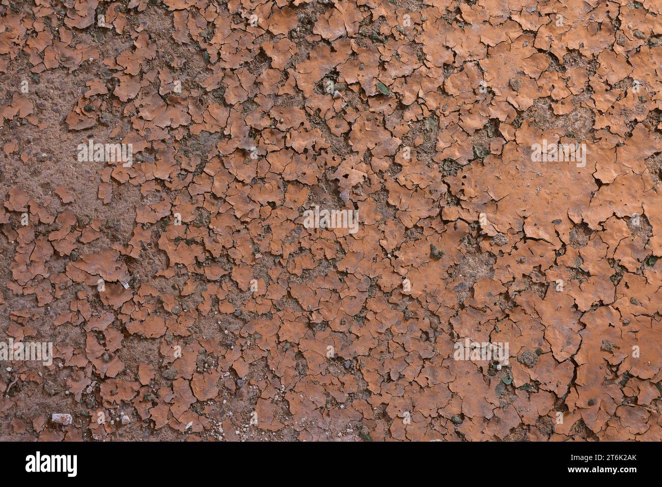 Flaking brownish paint on concrete floor surface. Stock Photo