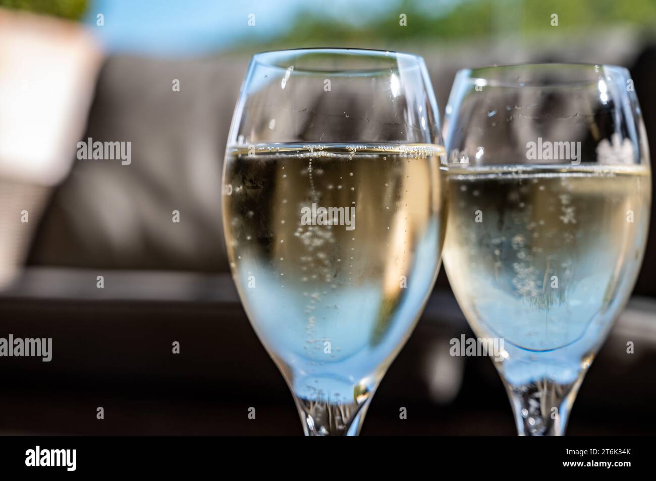 Wine tasting. Traditional method of production of cremant sparkling