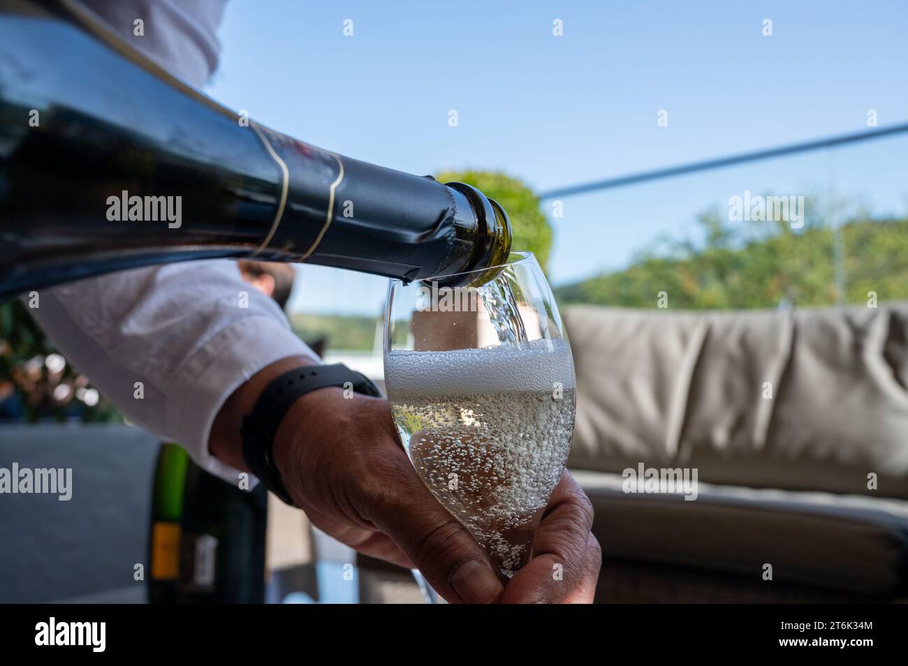Wine tasting. Traditional method of production of cremant sparkling