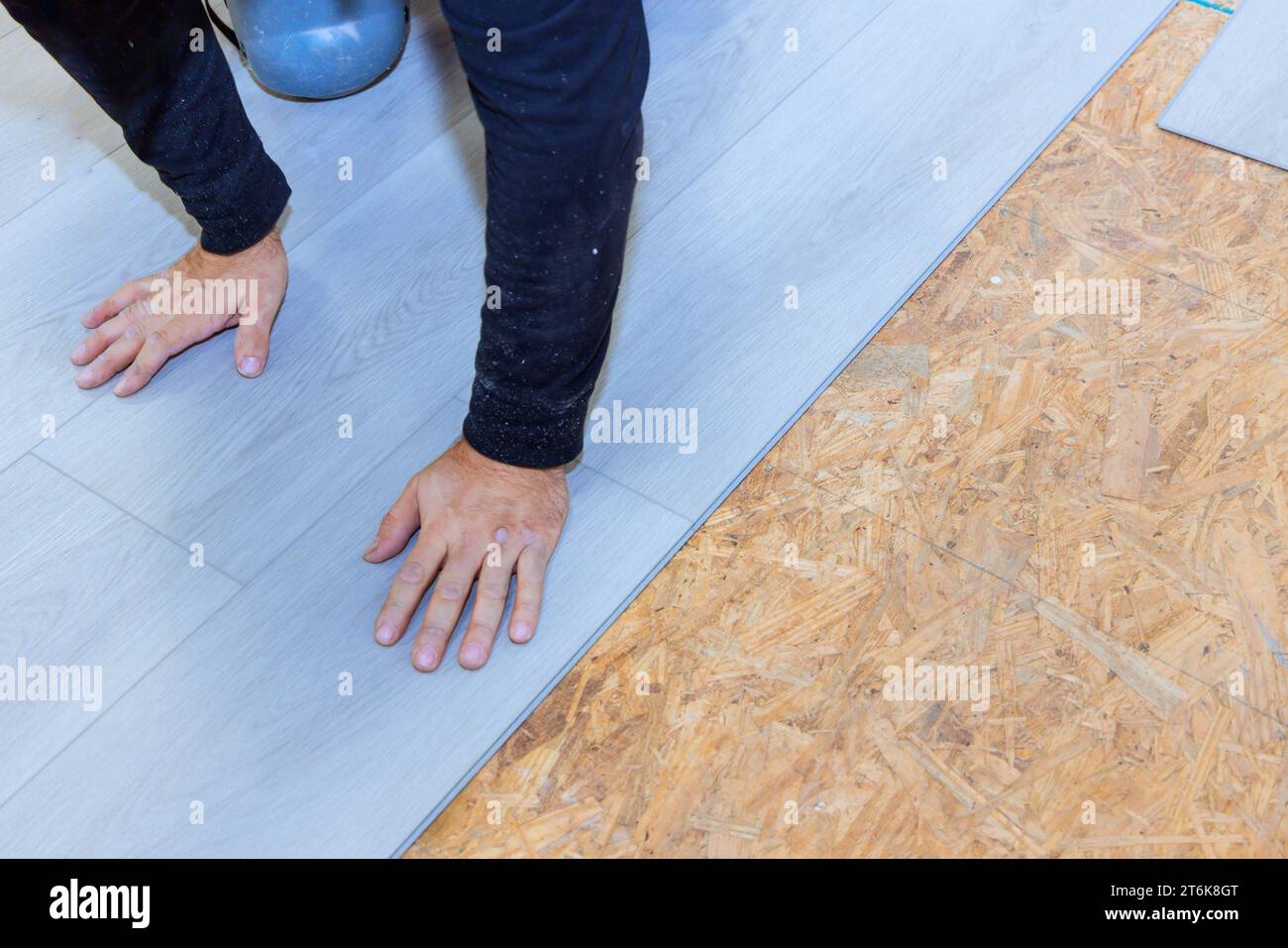 Installation of vinyl laminate flooring in new home by worker Stock Photo