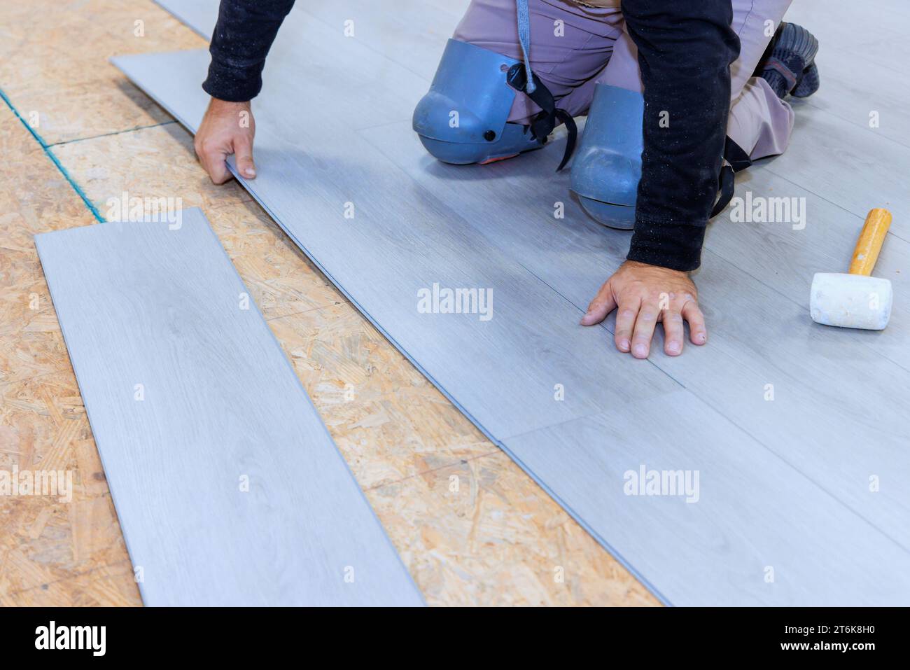 During installation vinyl laminate at floor of new home worker works Stock Photo