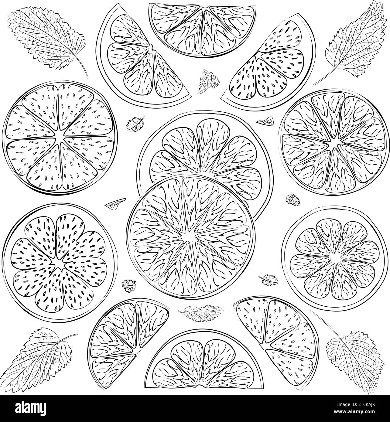 Line art illustration of lemon and lime wedges with mint leaves. Vector