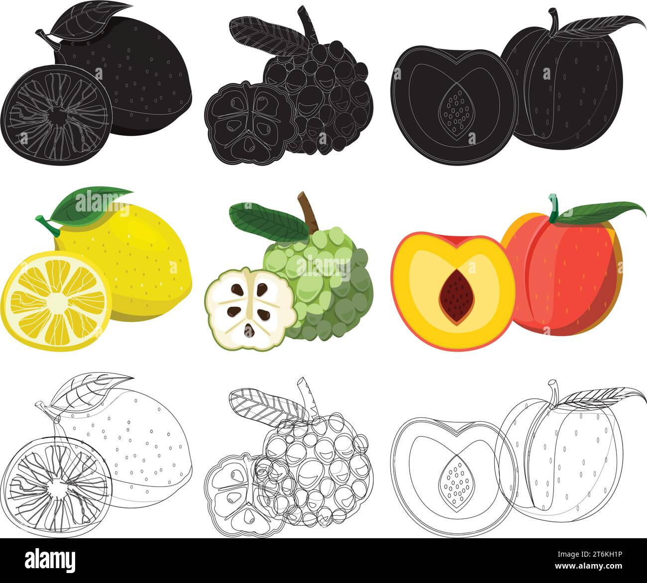 Fruit Design Illustration Vector Stock Vector Image & Art - Alamy