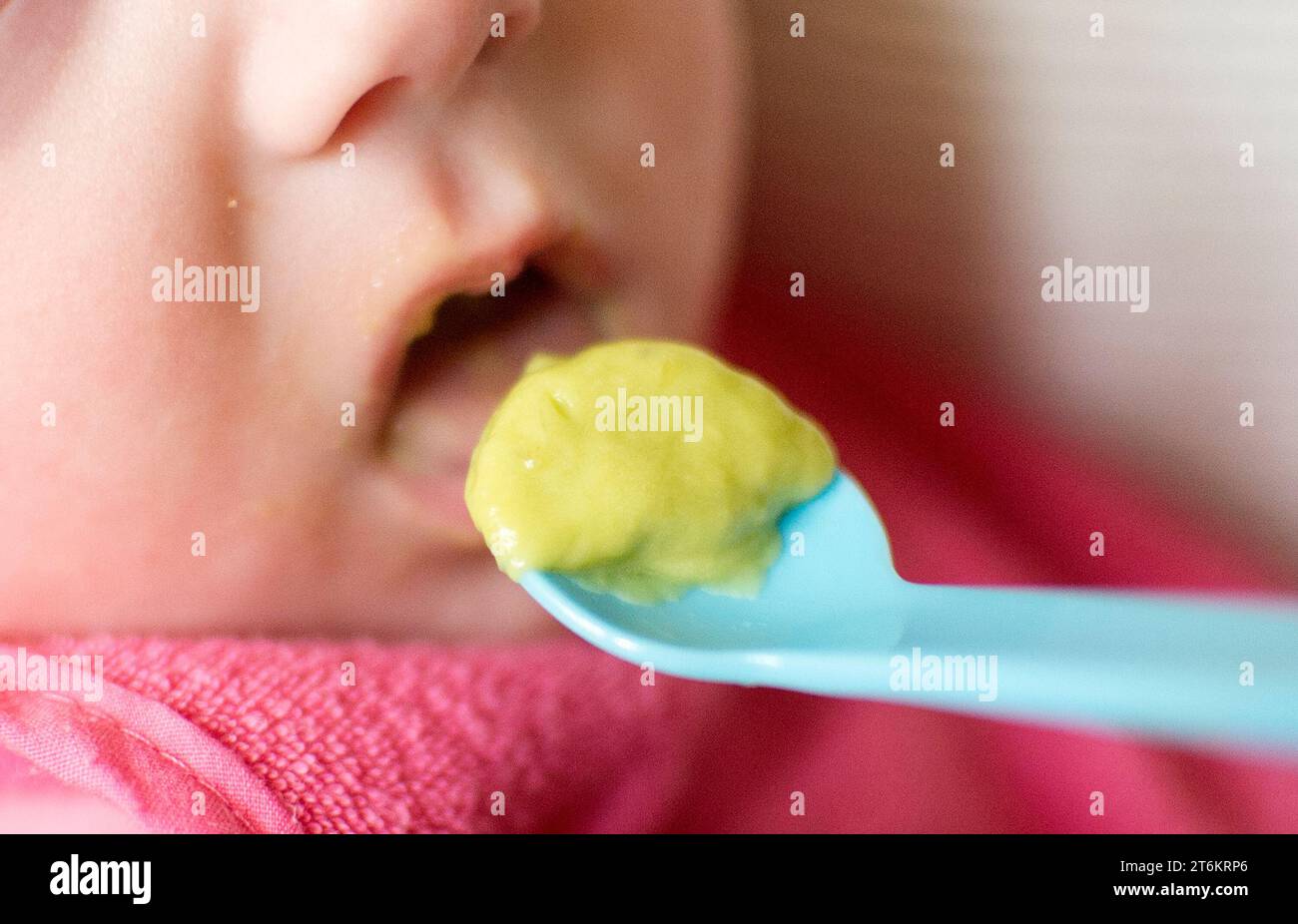 File photo dated 04/09/2015 of Charlotte Devlin, 6 months, eating puree during weaning. Healthy Start payments need to increase by 20% to compensate for increases in the cost of food, councils have said. The scheme, which helps pregnant women or families with children under the age of four with the cost of food and milk, does not currently cover the price of any available first infant formula, the Local Government Association (LGA) said. It has called for support for families with a baby under the age of one to rise from £8.50 a week to £10.47 a week, and payments for families with a baby betw Stock Photo