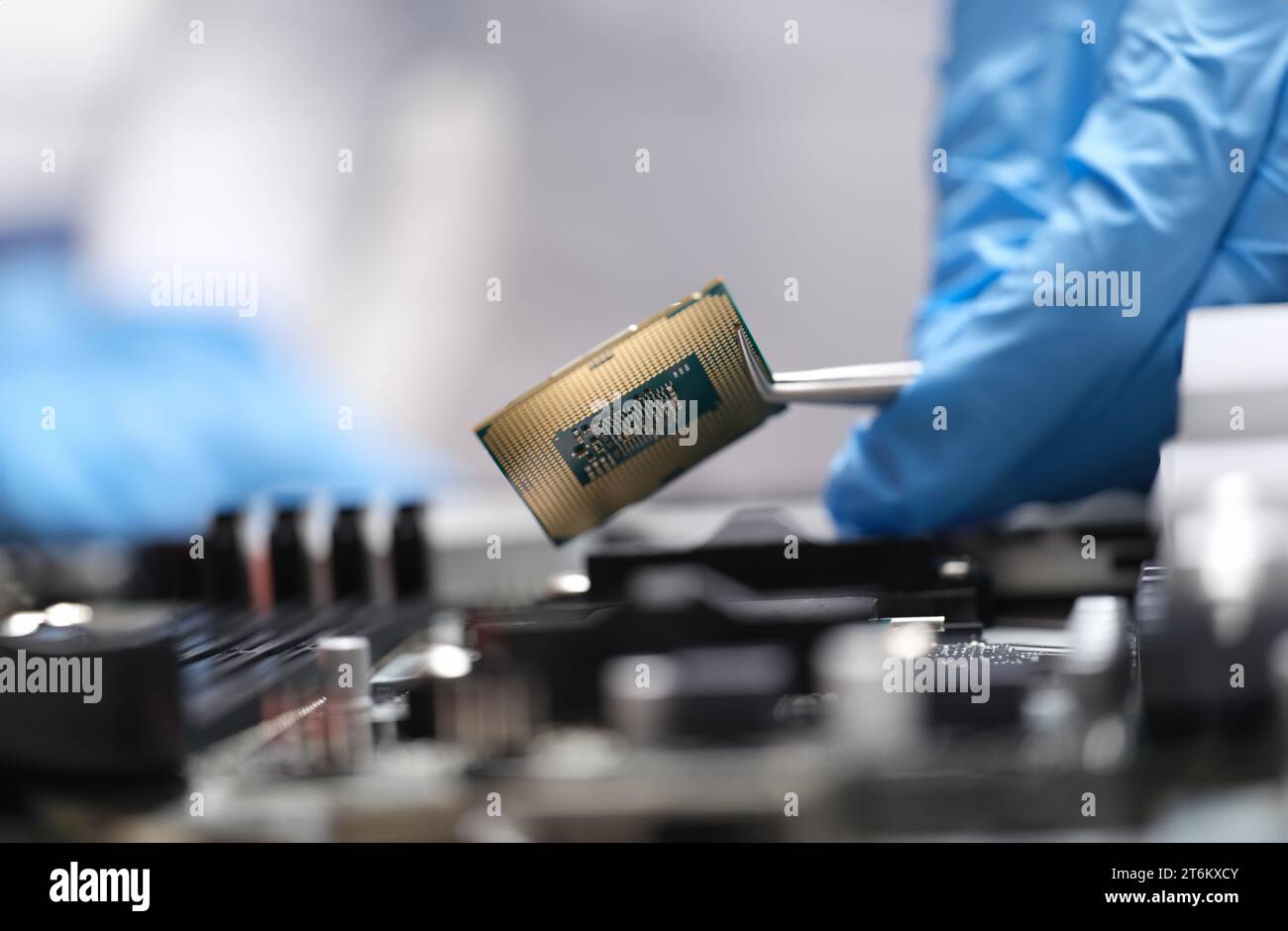 Engineer is holding microprocessor tweezers from motherboard Stock Photo
