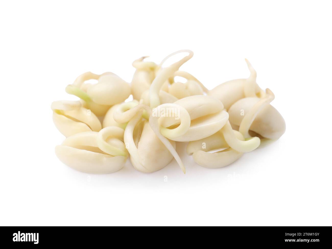 Many sprouted kidney beans isolated on white Stock Photo Alamy