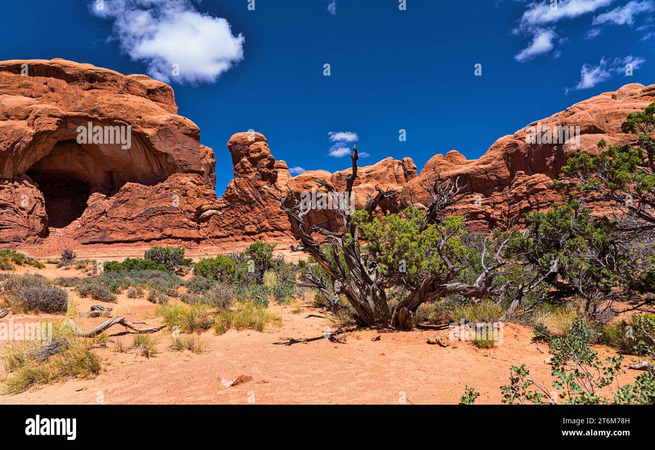 The USA on the road: the Southwest Stock Photo