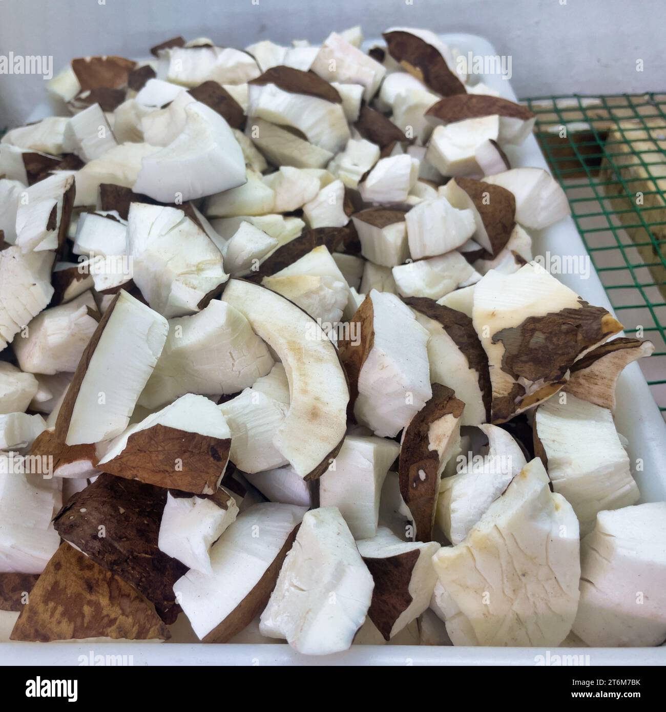 Coco de mer kernel in tray at the coco de mer collection factory, Mahe Seychelles Stock Photo