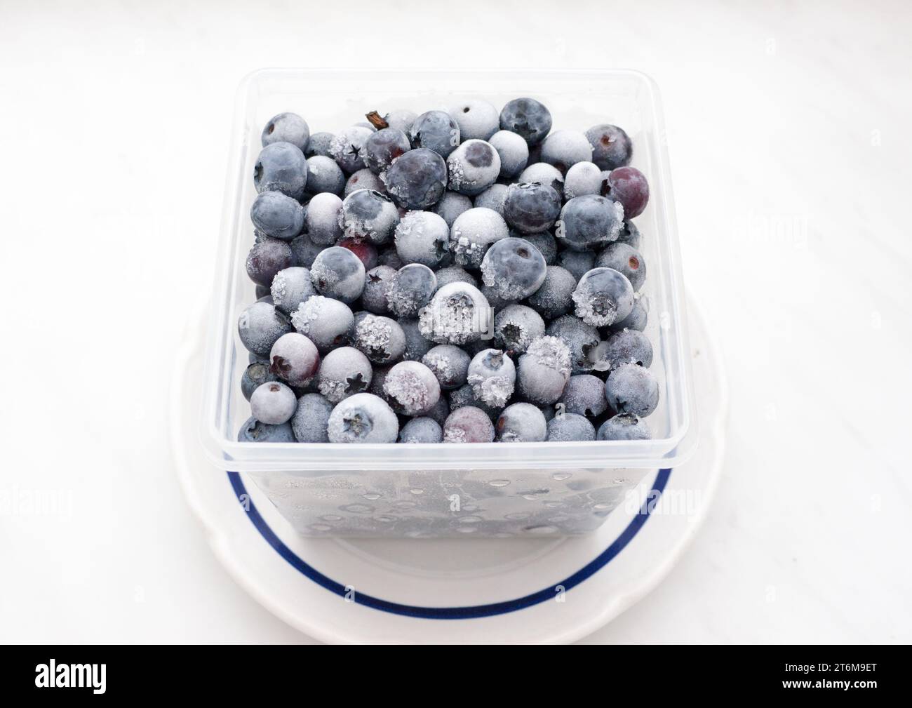 Frozen bog bilberry. Stock Photo