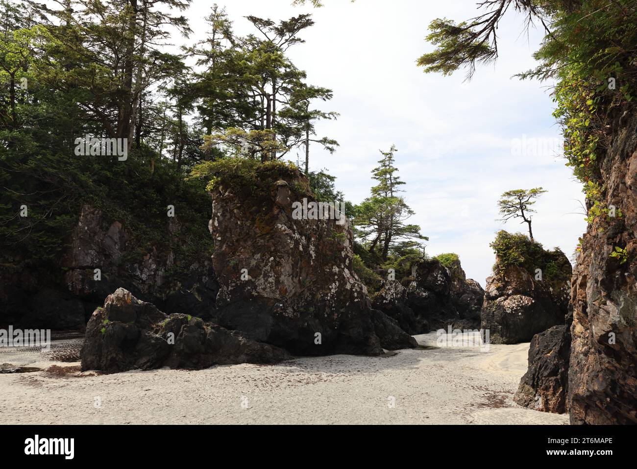 Cape Scott Provincial Park - Sea Stacks at San Josef Bay (Vancouver ...