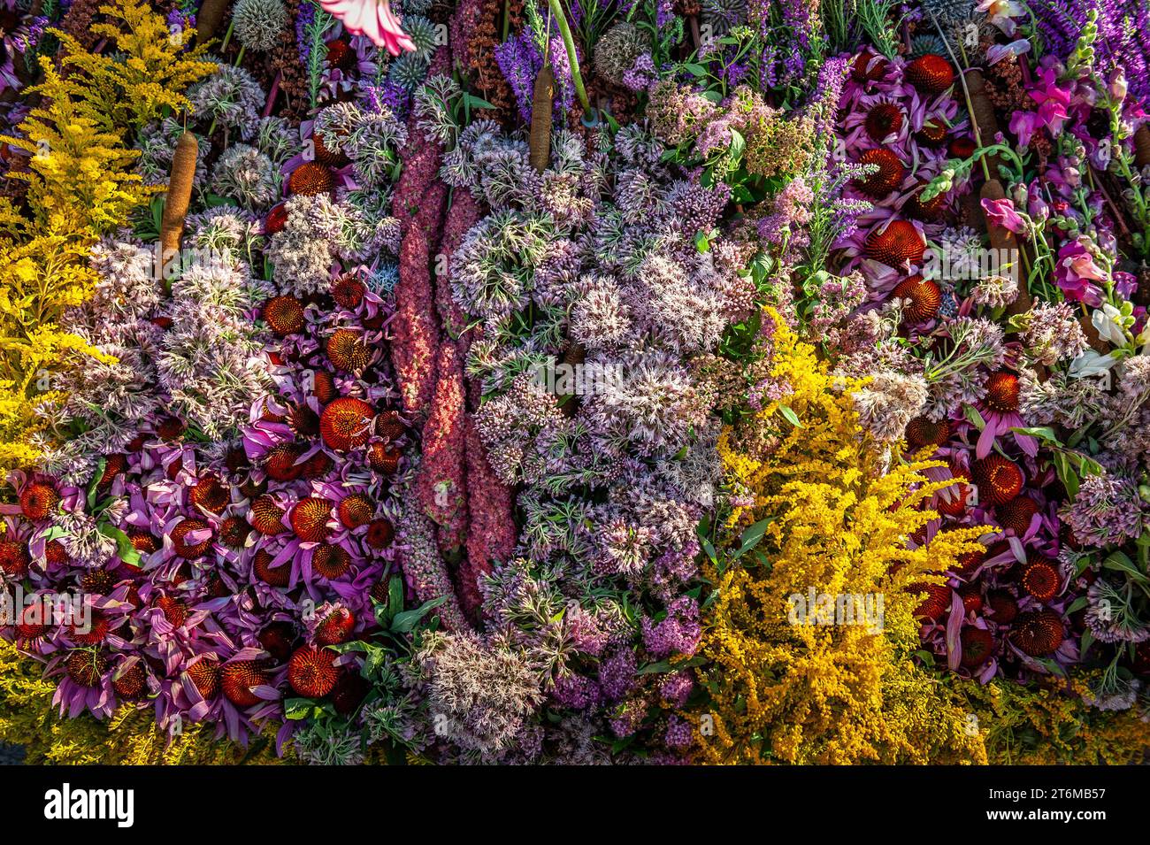 Mixed colorful flowers hi-res stock photography and images - Alamy