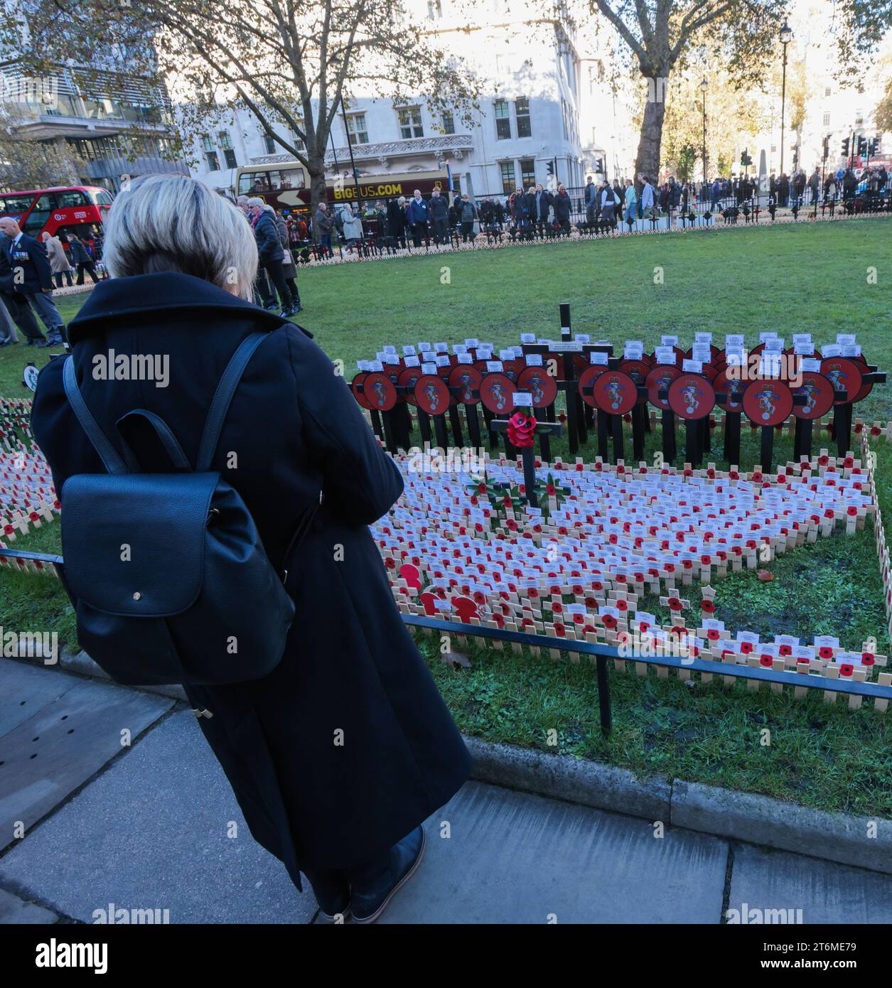 London UK 11 November 2023 Armistice day, the memorial day to honour