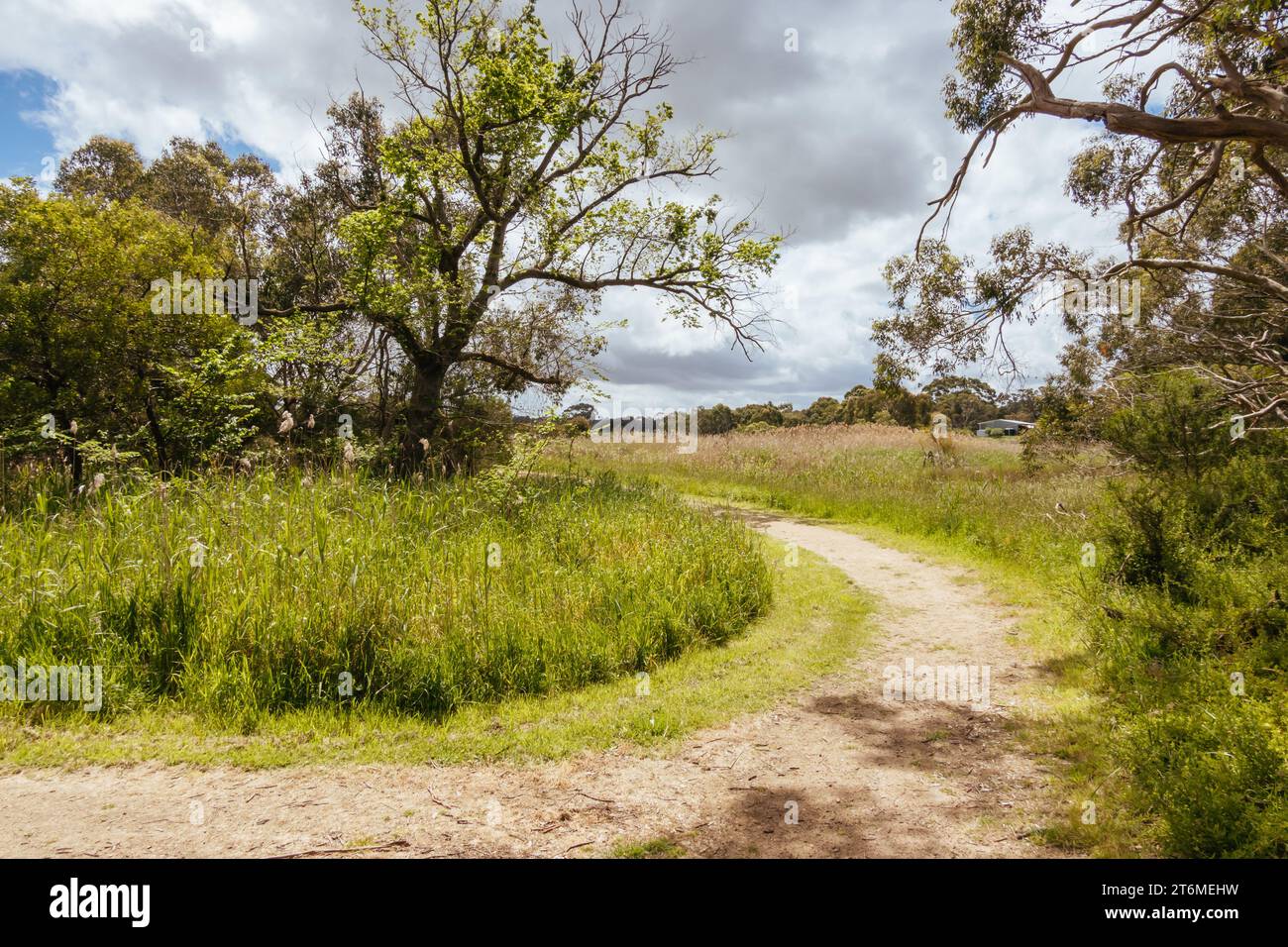 Coolart Wetlands and Homestead in Somers on a hot spring day on the Mornington Peninsula, Victoria, Australia Stock Photo