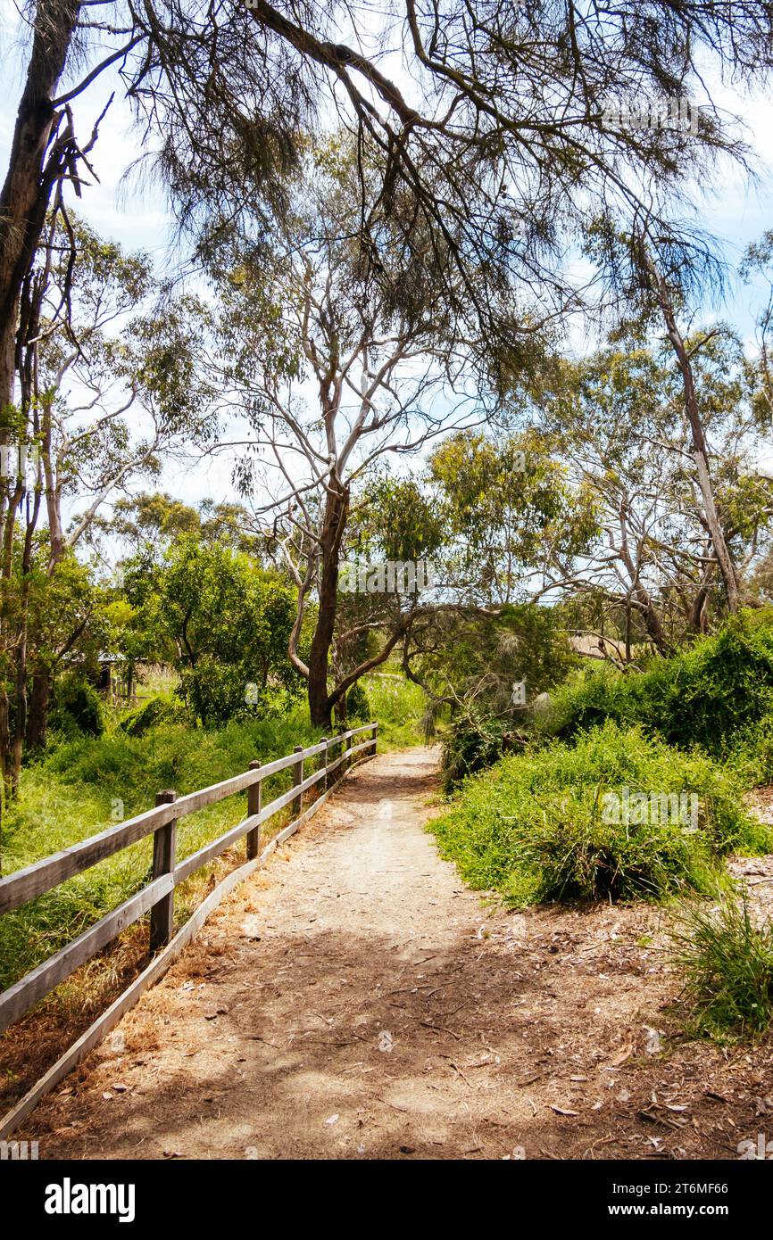 Coolart Wetlands and Homestead in Somers on a hot spring day on the Mornington Peninsula, Victoria, Australia Stock Photo