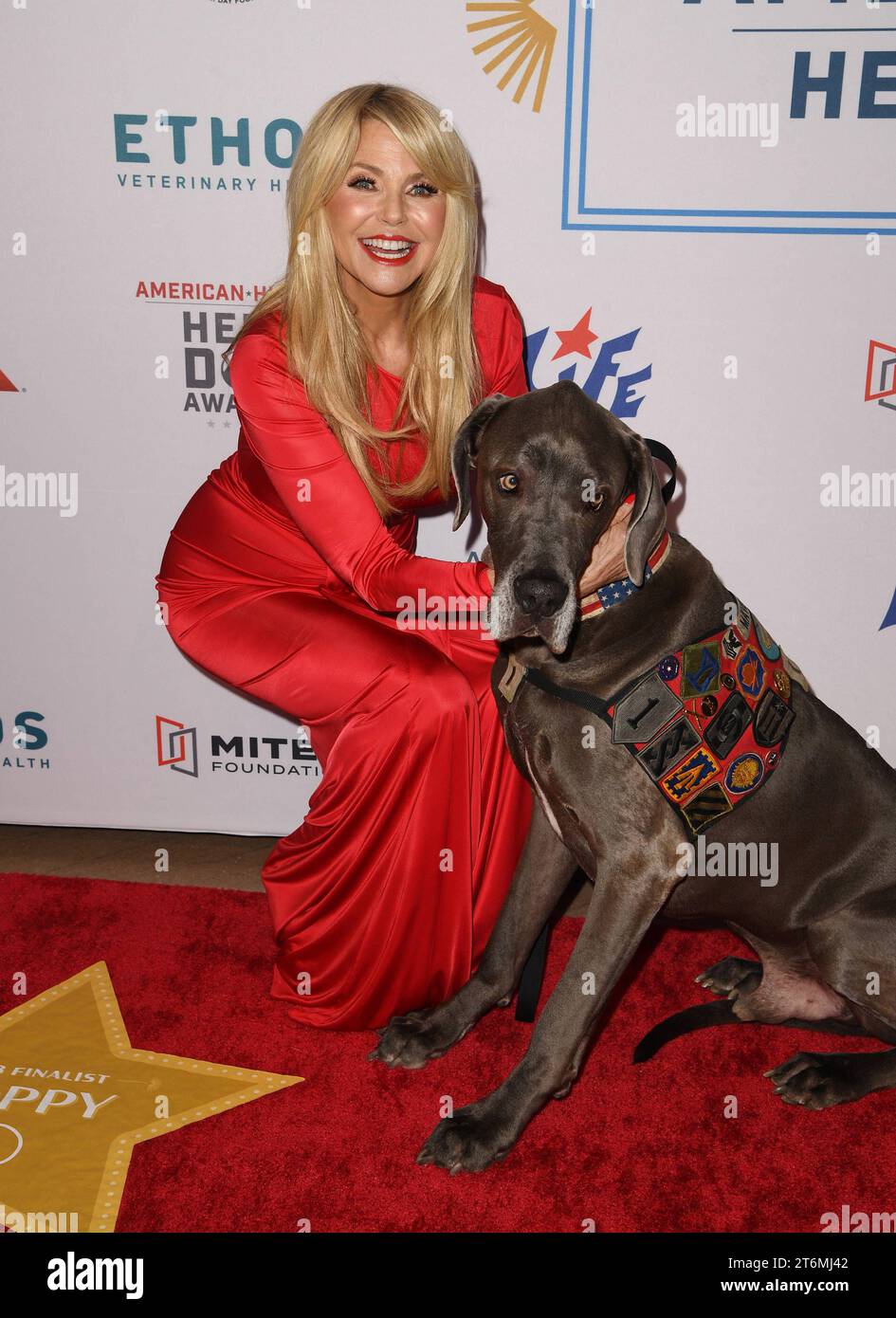 PALM BEACH, FL - NOVEMBER 10: Christie Brinkley attends the American