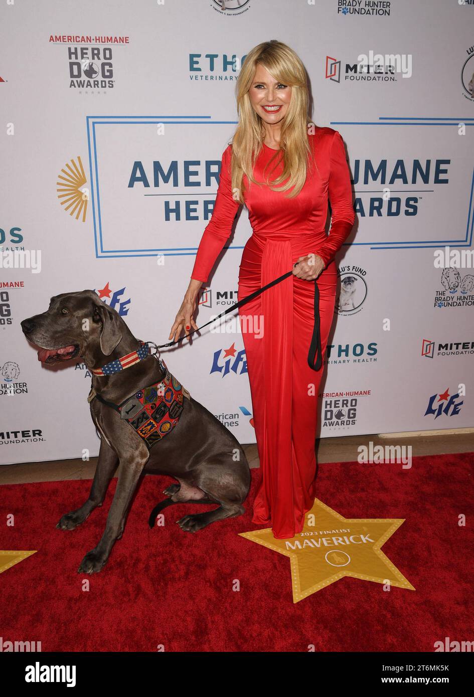PALM BEACH, FL - NOVEMBER 10: Christie Brinkley attends the American