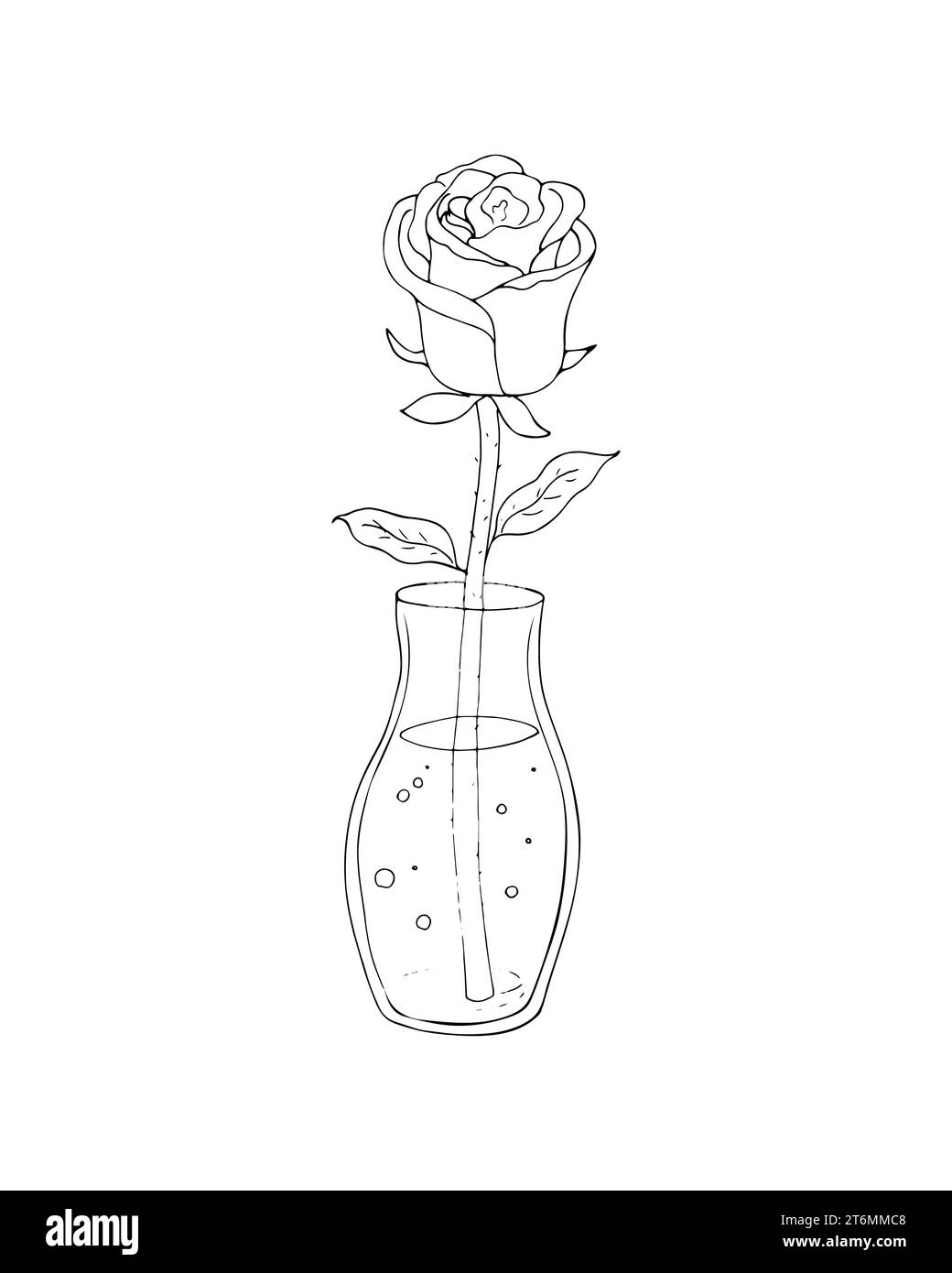 Single rose and vase Black and White Stock Photos & Images Alamy — free download