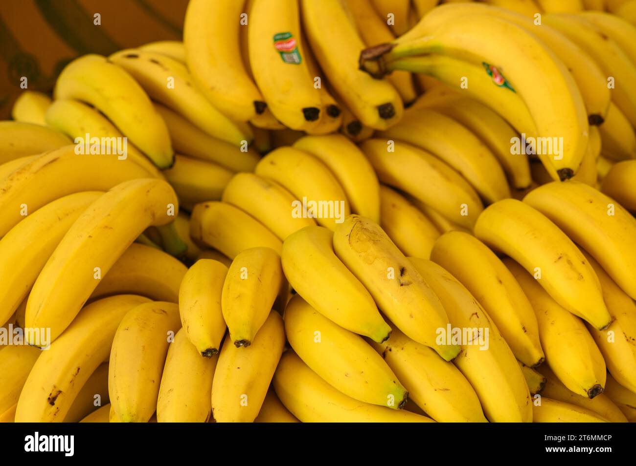 beautiful fresh bananas in a pile at a local market in the mediterranean Stock Photo