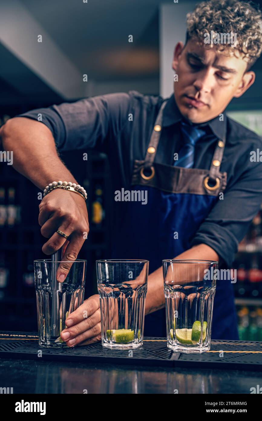 Bartender squeezing ripe limes in glass while preparing mojito in bar Stock Photo