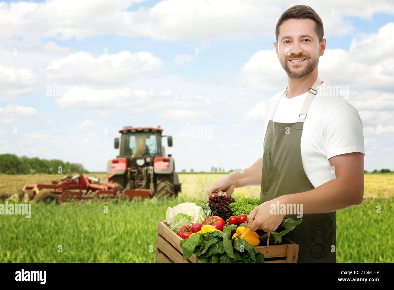 Harvesting season. Farmer holding wooden crate with crop in field Stock ...
