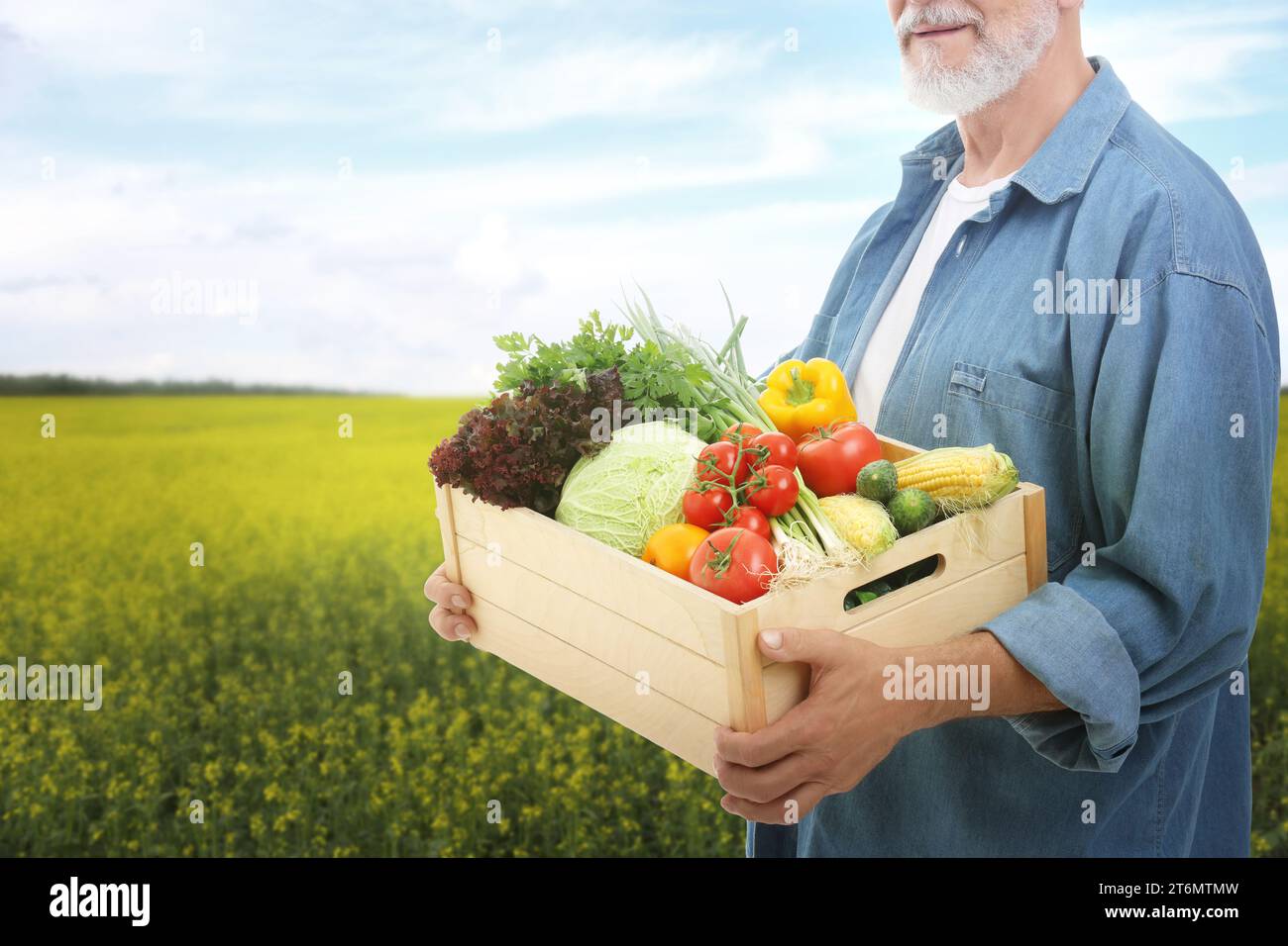 Harvesting season. Farmer holding wooden crate with crop in field ...