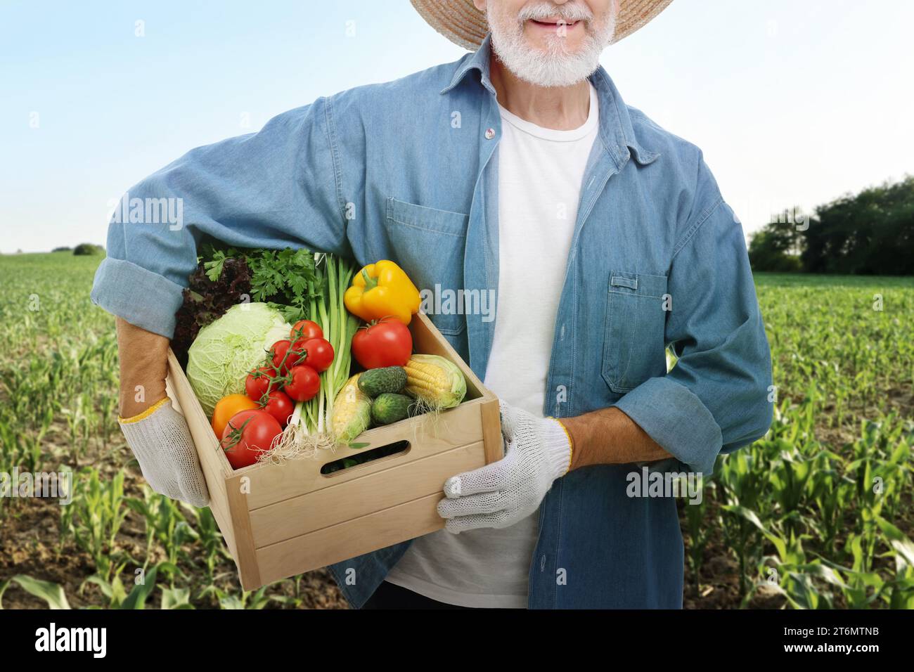Harvesting season. Farmer holding wooden crate with crop in field ...