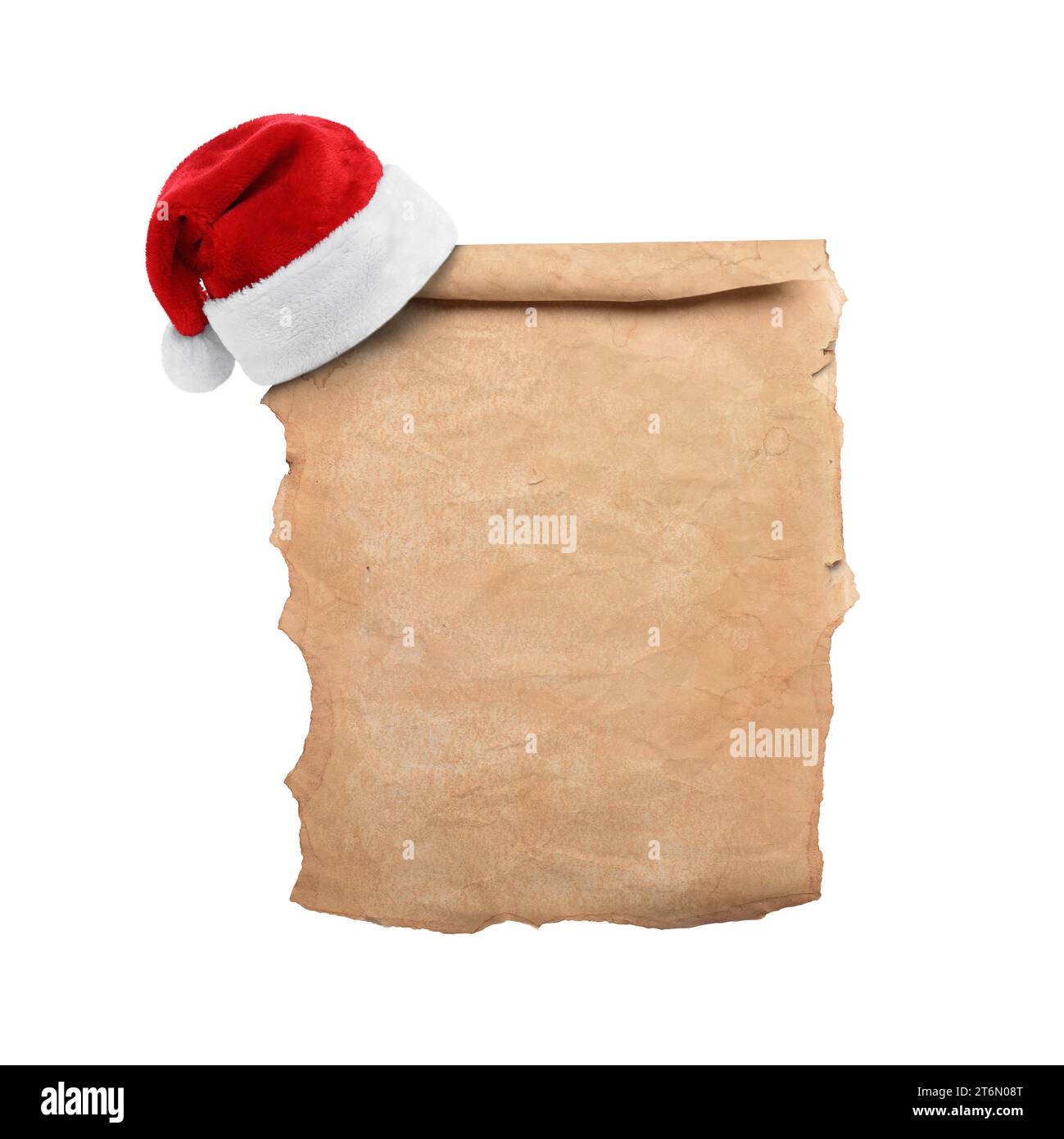 Old scroll on parchment paper with winter holly berry leaf sprigs isolated  on white background. For Christmas and winter themes Stock Photo - Alamy