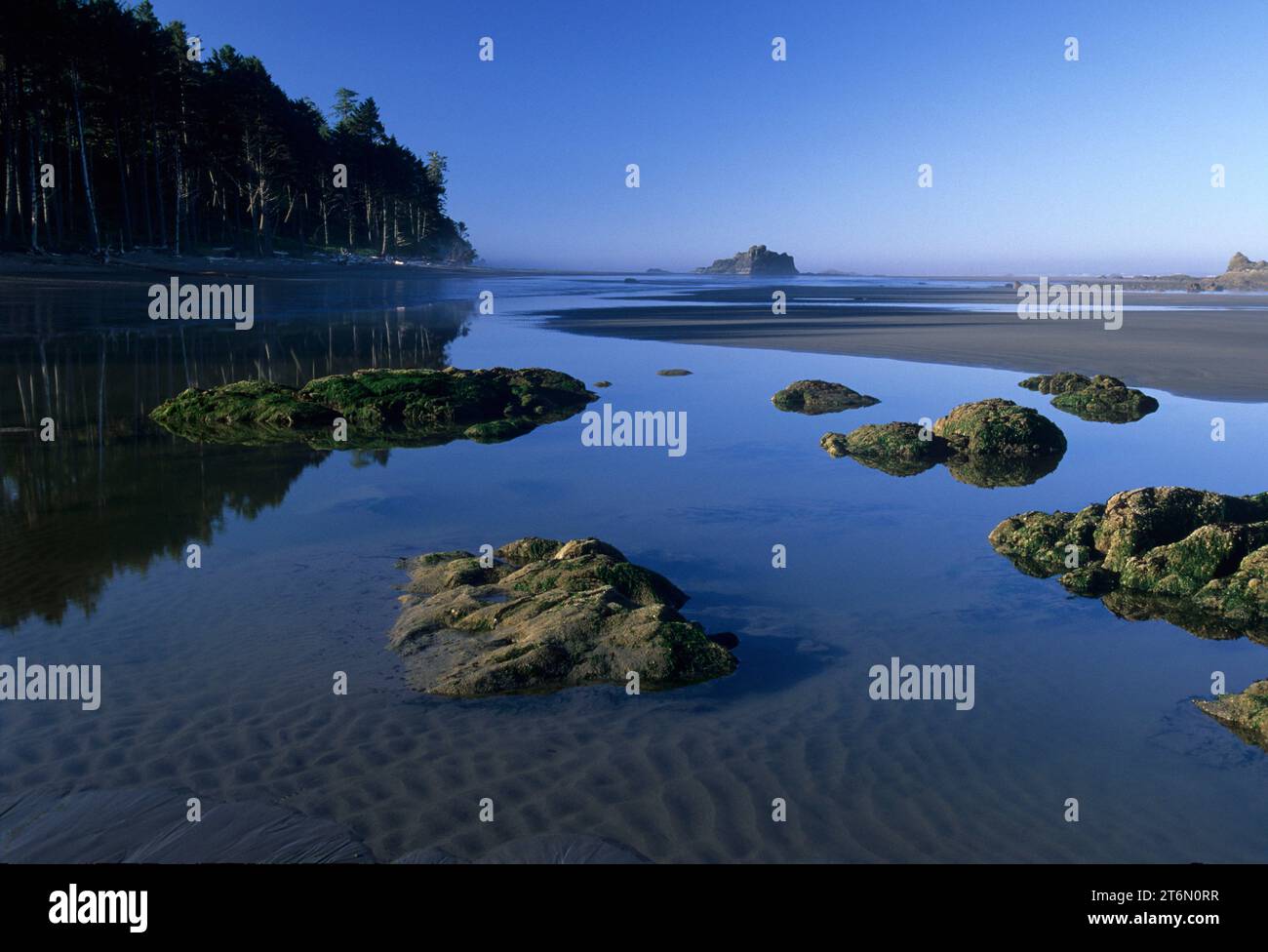 Ruby Beach, Olympic National Park, Washington Stock Photo