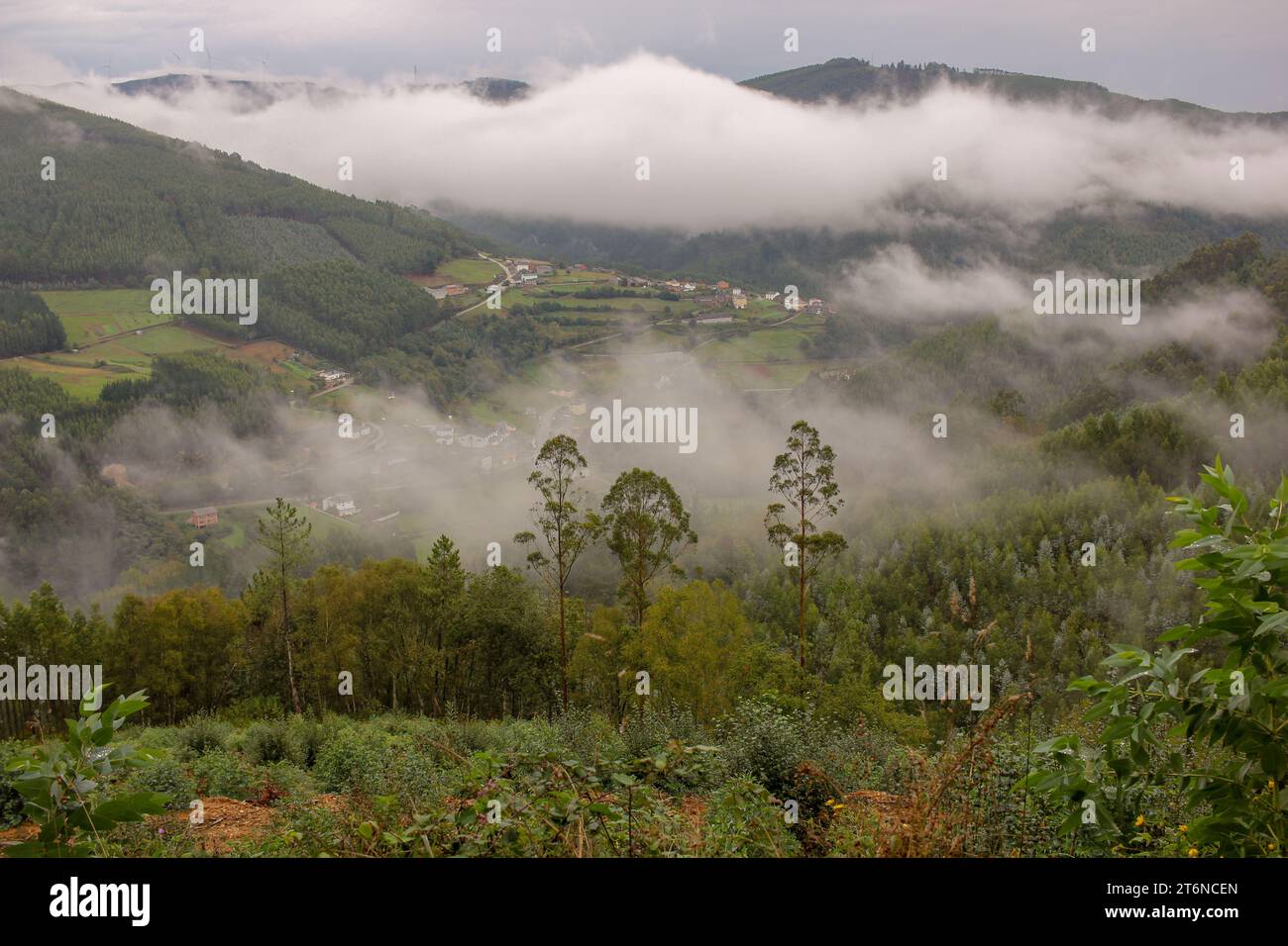 mist in the mountains in A Pontenova, Spain Stock Photo