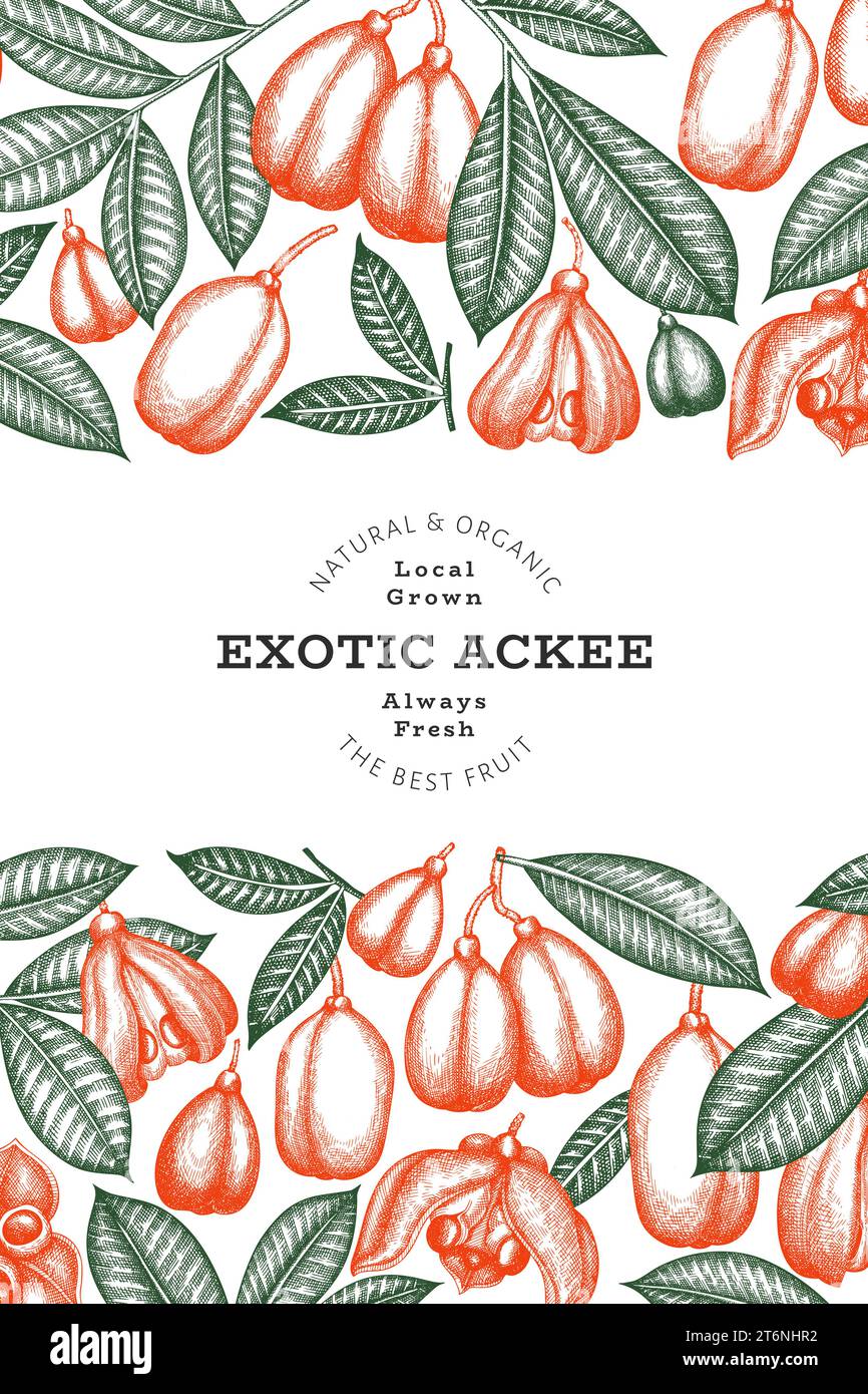 Hand drawn sketch style ackee banner. Organic fresh food vector ...