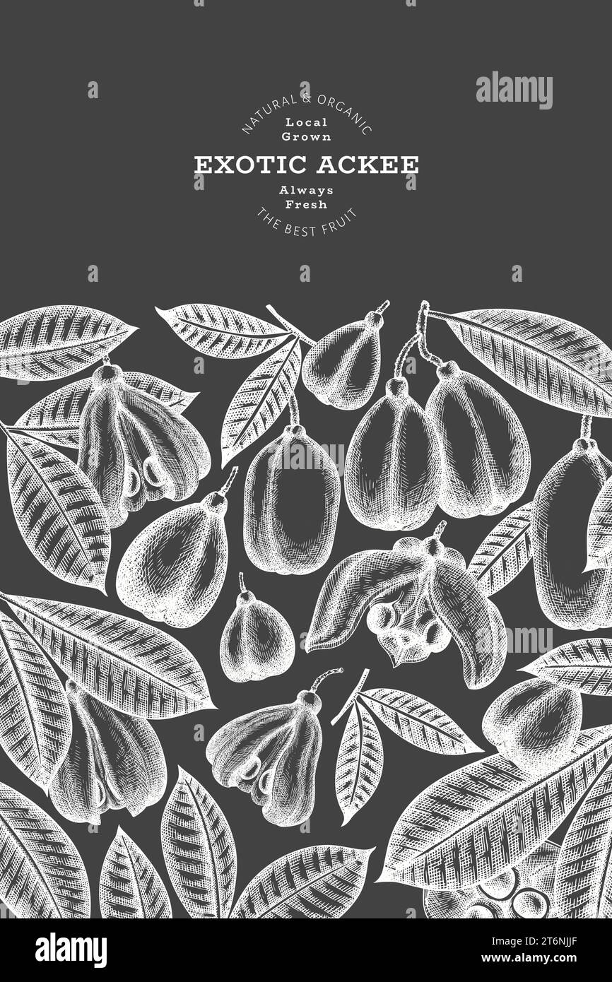 Hand drawn sketch style ackee banner. Organic fresh food vector ...