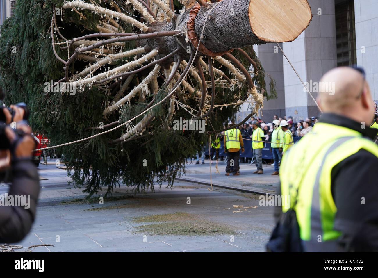 November 11, 2023, New York, New York, USA (NEW) Christmas tree