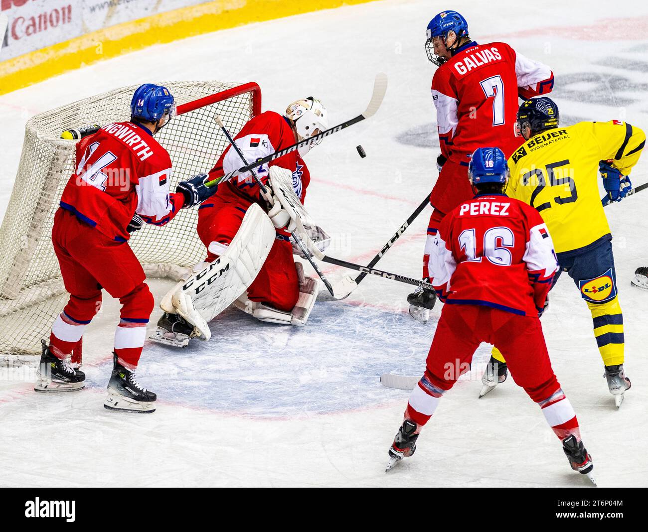 From left Jonas Jungwirth, Michael Schnattinger goalie, Tomas Galvas