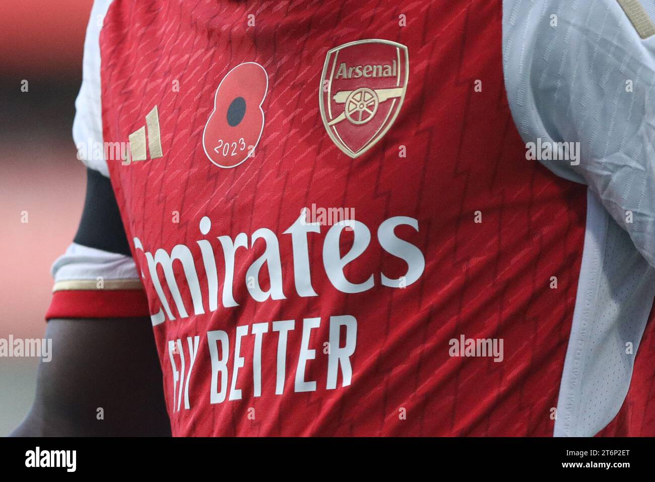 Arsenal support the Royal British Legion Poppy Appeal outside the Emirates  Stadium before the Premier League match between Arsenal and Burnley at the  Emirates Stadium, London, England on 11 November 2023. Photo, image size:1300x956