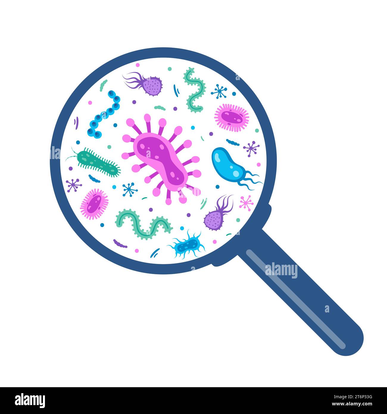 Different bacteria, pathogenic under a magnifying glass